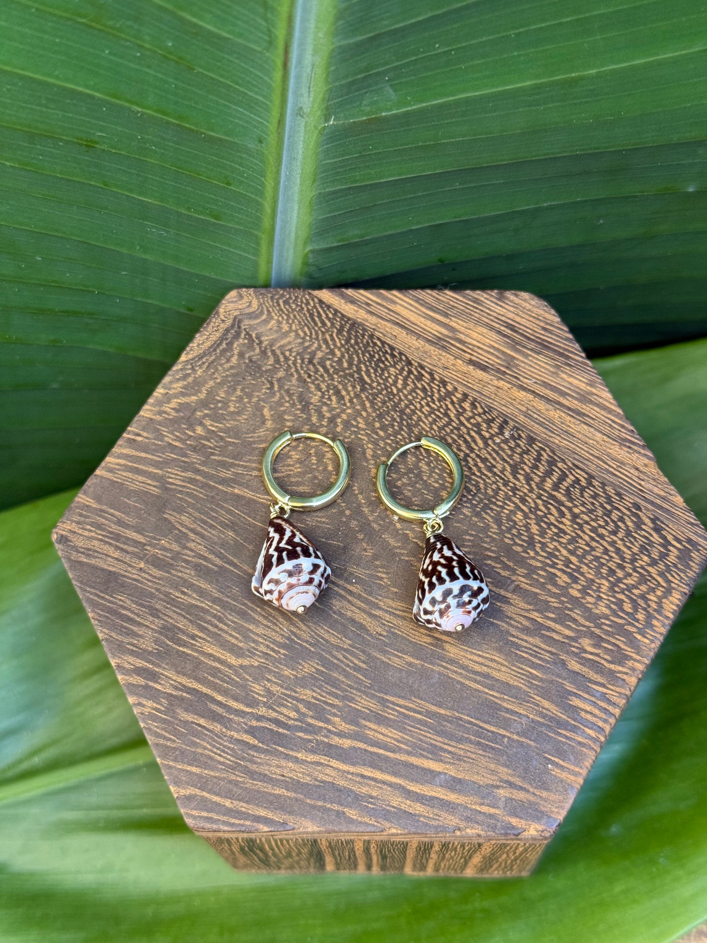 ~Huggie Black Chaldean Earrings