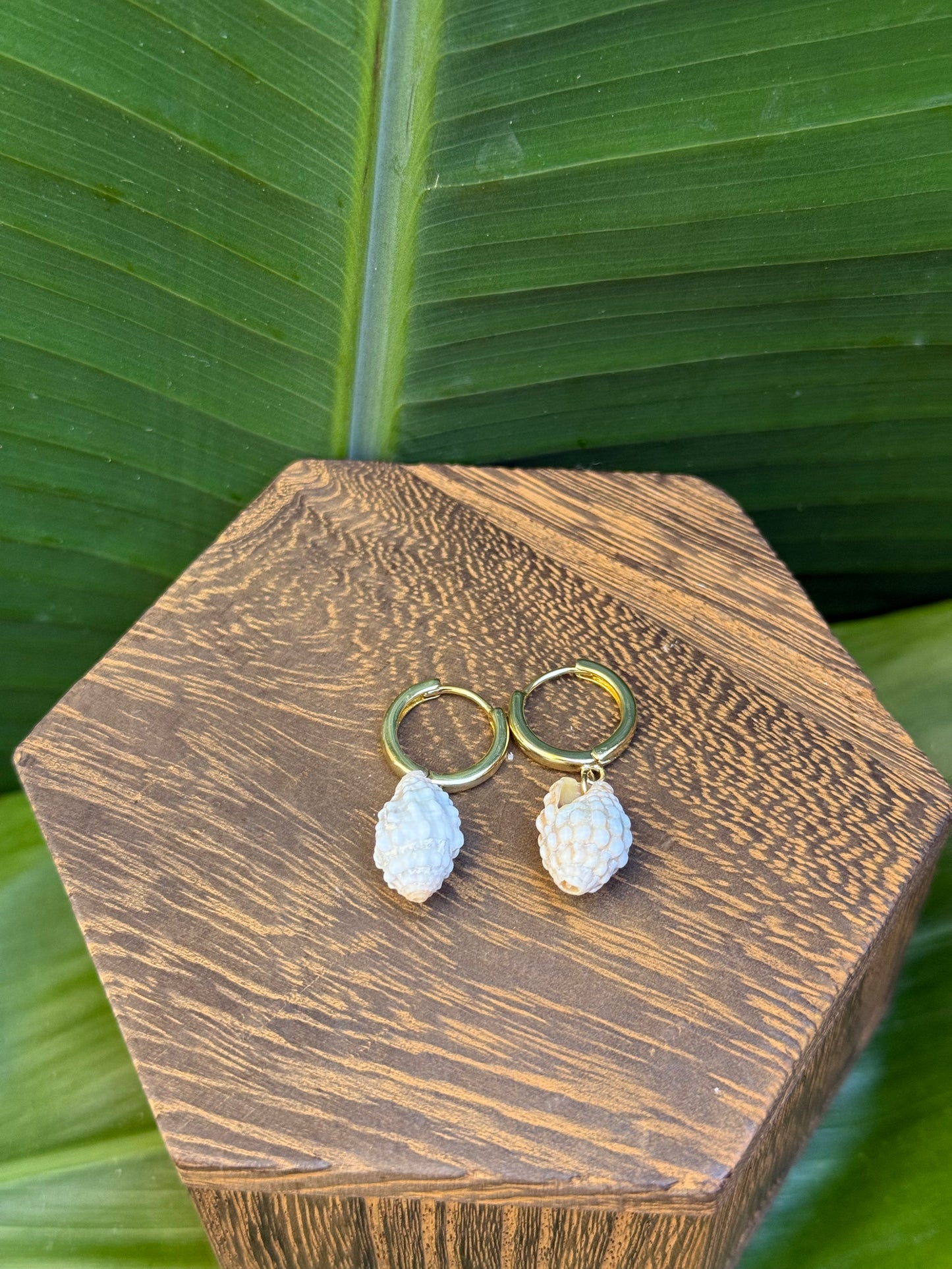 ~Huggie Lattice Miter Earrings