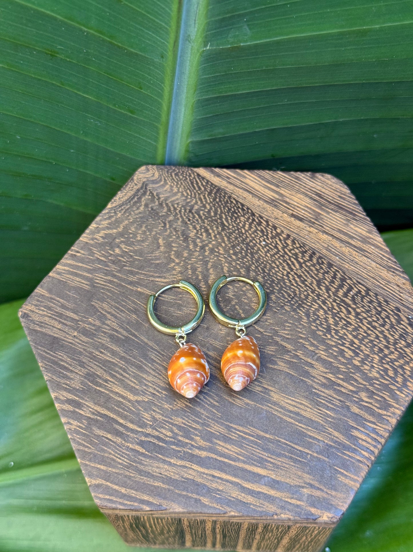 ~Huggie Related Miter Earrings