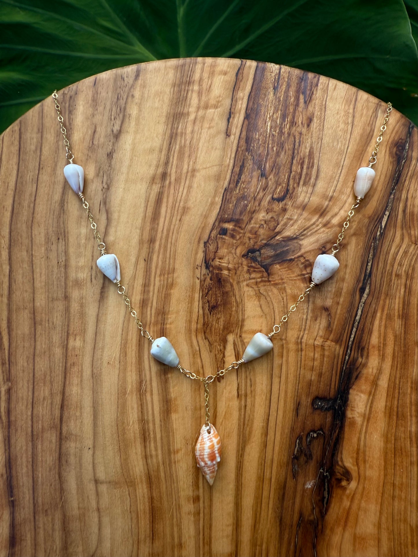 Miter and small cone shell necklace
