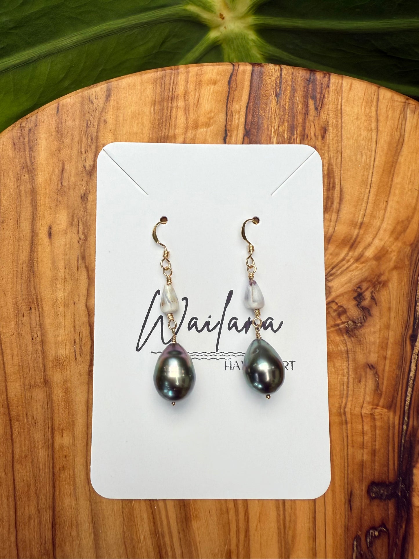 ~Tahitian Pearl and Dwarf Cone Earrings