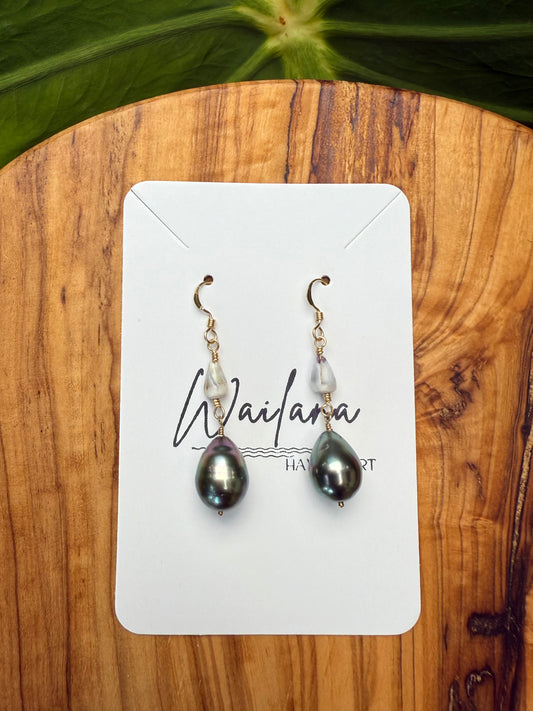 ~Tahitian Pearl and Dwarf Cone Earrings